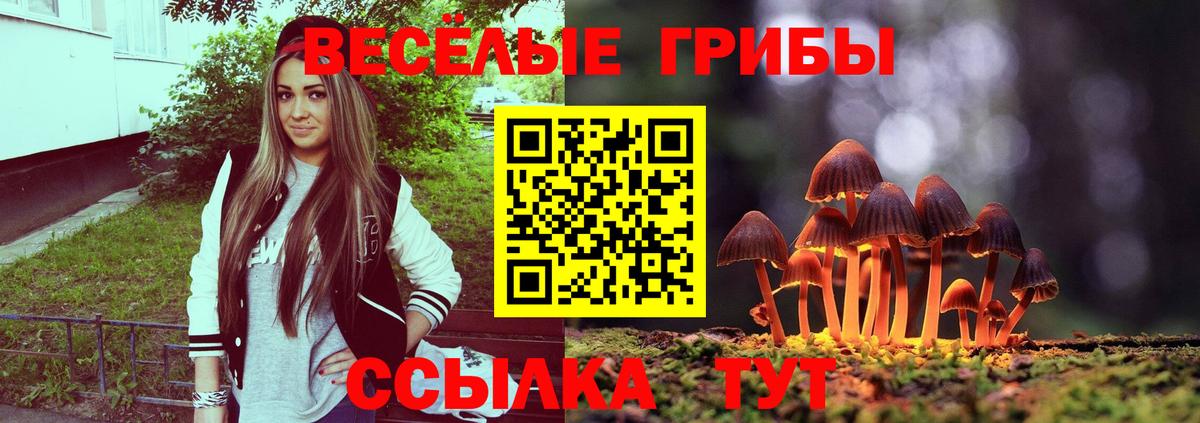 Нефтекамск  Галлюциногенные грибы Psilocybe  Псилоцибиновые грибы GOLDEN TEACHER  Вход с VPN 
